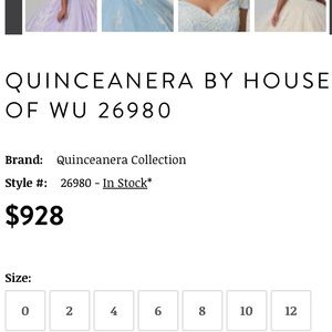 QUINCEANERA BY HOUSE OF WU 26980